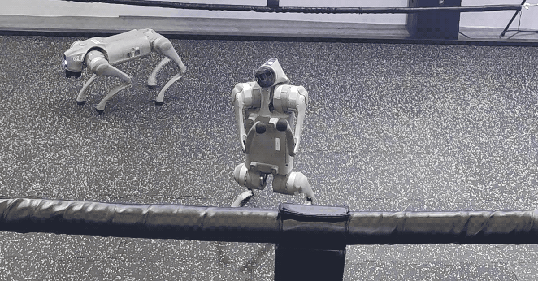 一文看尽35万人围观的智博会(图26)