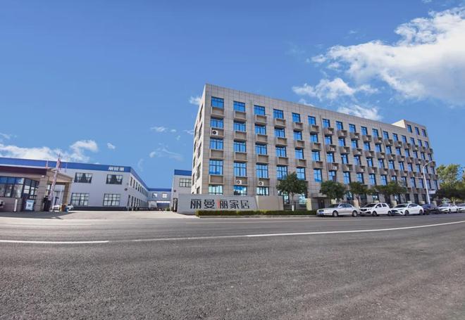 引领行业标准智创品质生活 丽曼俪参与起草智能家具团体标准树立未来家居新高度(图4)