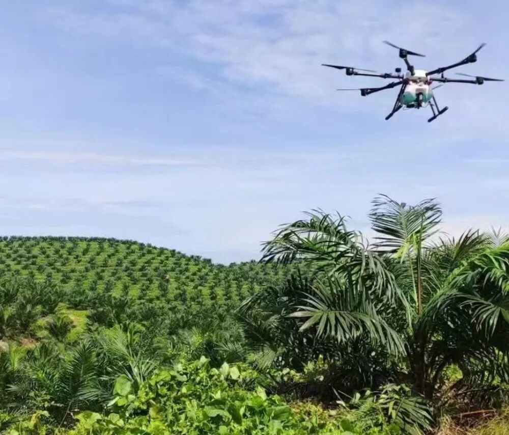 “北上广研发+广西集成+东盟应用” 广西打造面向东盟人工智能合作高地(图3)