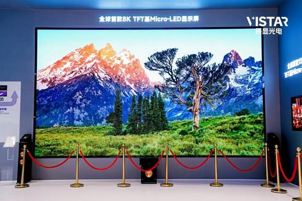 两大全球首发 维信诺亮相世界显示产业创新发展大会(图2)