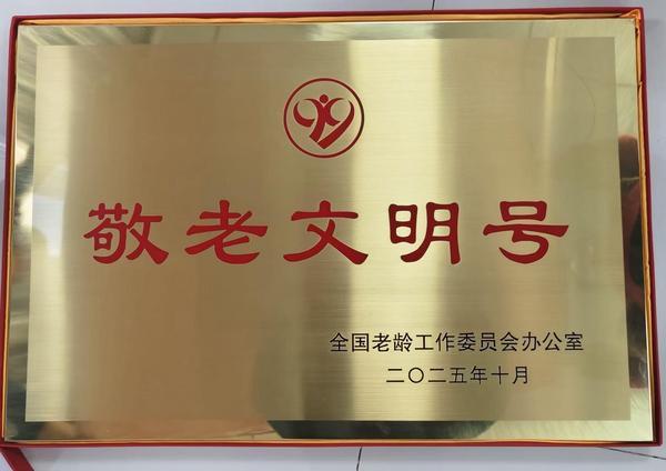 为老年人“撑好保险保护伞”！中国太保摘得全国荣誉！(图1)