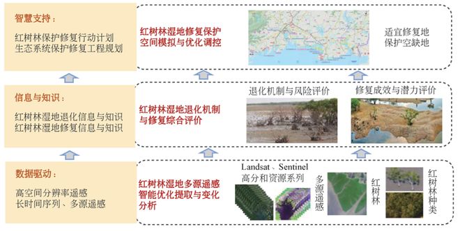 青岛理工大学凌子燕团队 红树林湿地高分遥感提取与修复保护空间优化：以广西北部湾为例(图2)
