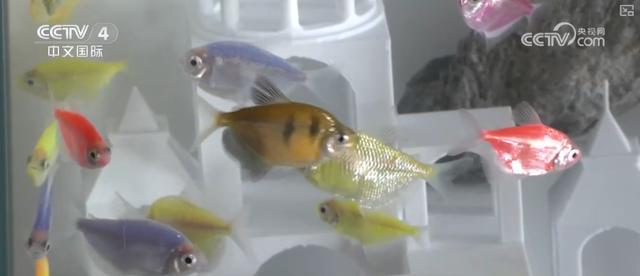 “全屋智能”成为新消费时尚 家电消费释放全新“智”力 2026生活观察↓(图4)