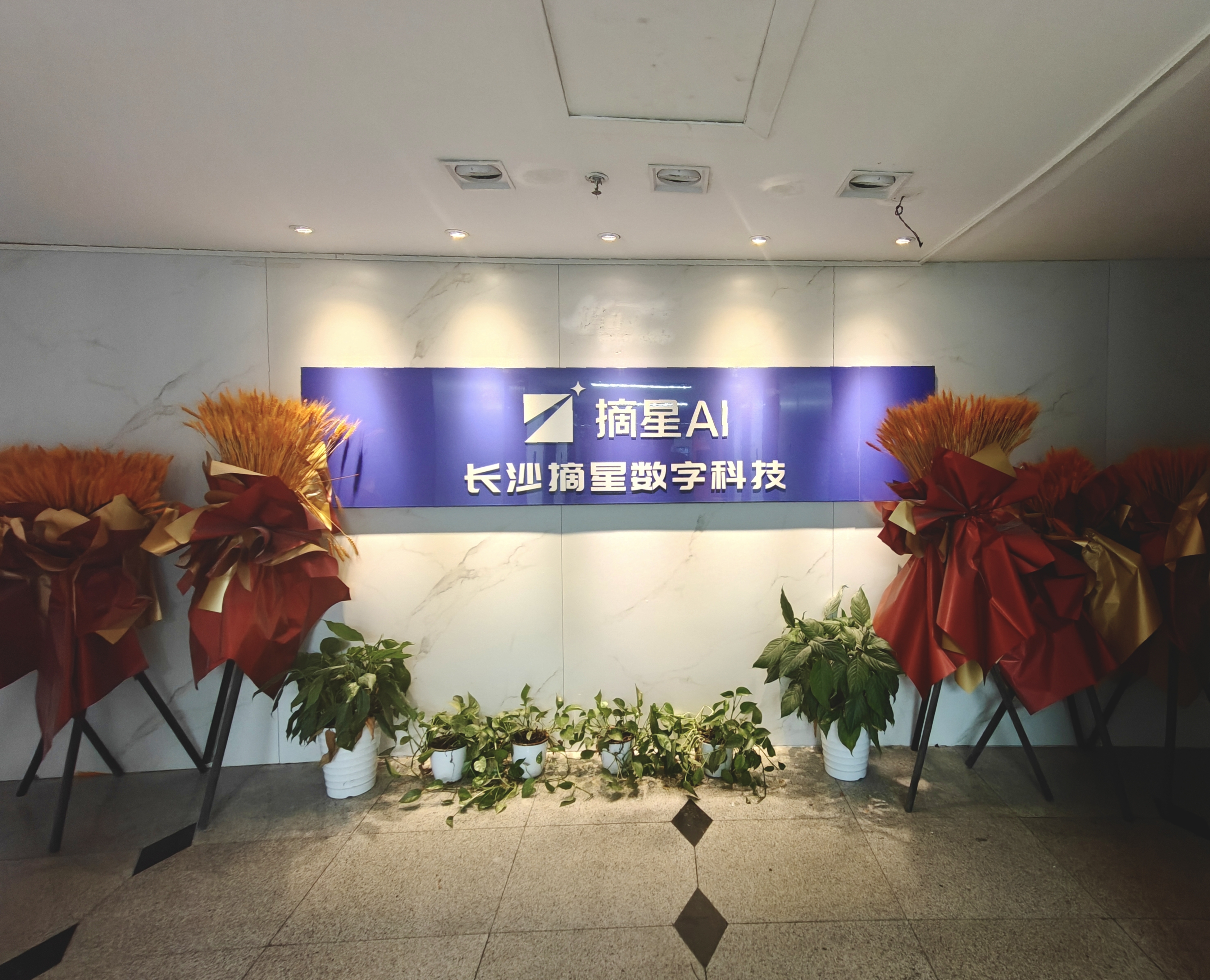 2026年长沙AIGEO服务商竞争格局深度分析报告(图1)